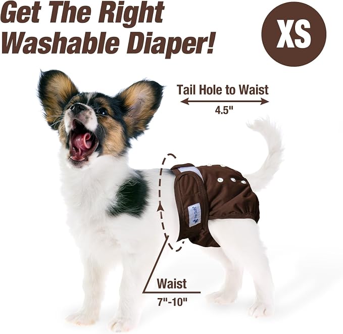 Pet Soft Washable Female Diapers (3 Pack) Female Dog Diapers, Comfort Reusable Doggy Diapers for Girl Dog in Period Heat (Deep Set, XS)