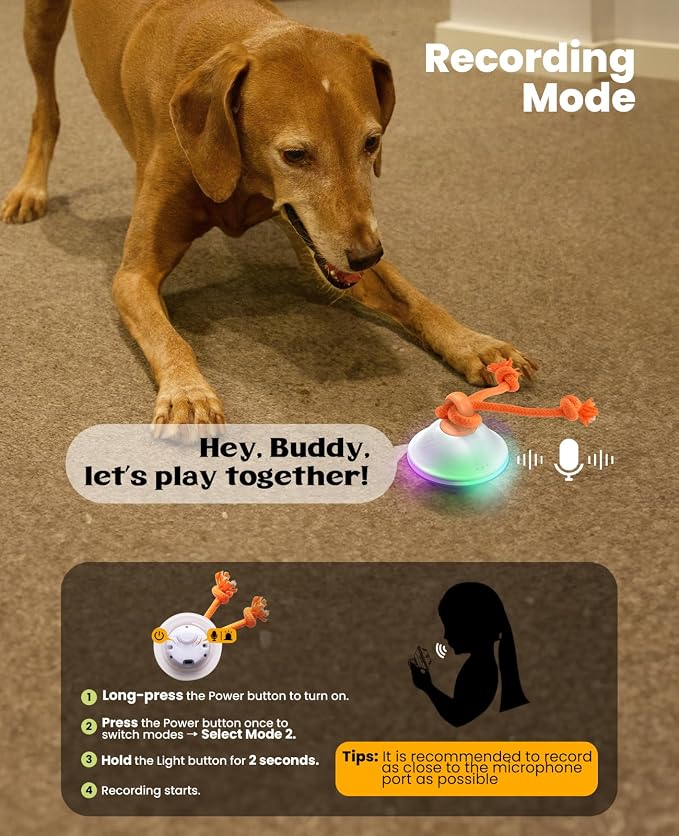 Xeuch Interactive Dog Toys, Automatic Moving and Rolling LED Light Up Dogs Ball with Rope, Motion-Activated Wicked Ball for Small Medium Pup, Stimulation Toy for Boredom Relief