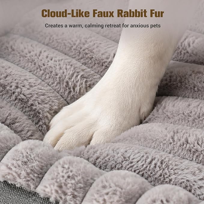 Avont Supportive Dog Bed for Medium Dogs, Plush Foam Fill, Grey | Removable Machine Washable Cover, Low 5.12" Entry for Pups & Seniors, 7:3 Foam-PP, Non-slip Bottom, Hidden Chew-proof Zippers
