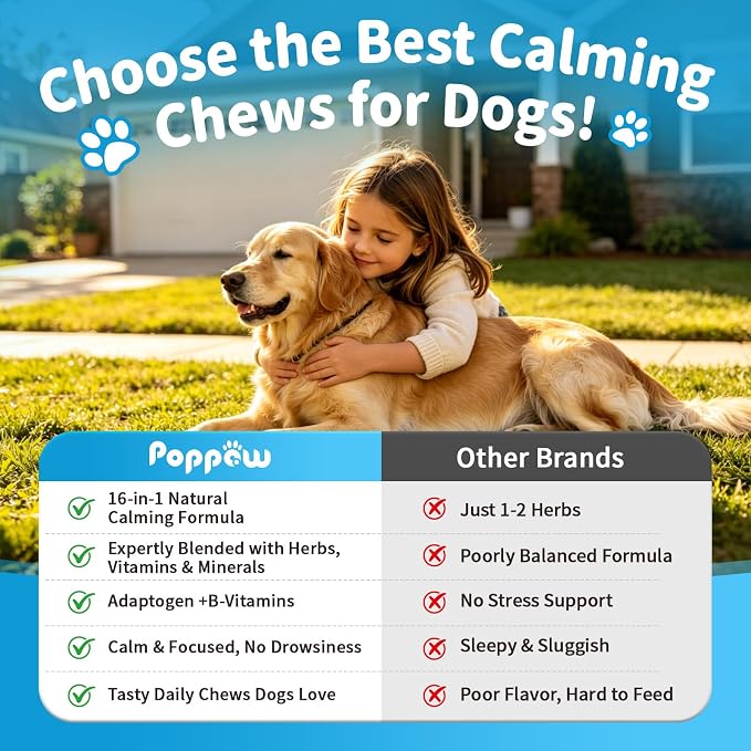 Calming Chews for Dogs - Advanced Calming Treats for Dogs Anxiety, Stress, Separation, & Thunder, Relaxation with Ashwagandha & L-Theanine, Non-Drowsy Alternative to Melatonin, Chicken Flavor, 90Ct