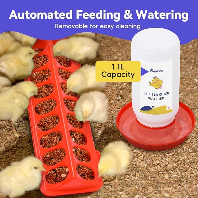 Pawaboo Chick Brooder Box for Chick Starter Kit, Brooder Pen/Chicken Supplies Brooders Box with Chicks Perch Brooding Up to 15 Chicks, Duck and Quail, Green + Red + Wood Color