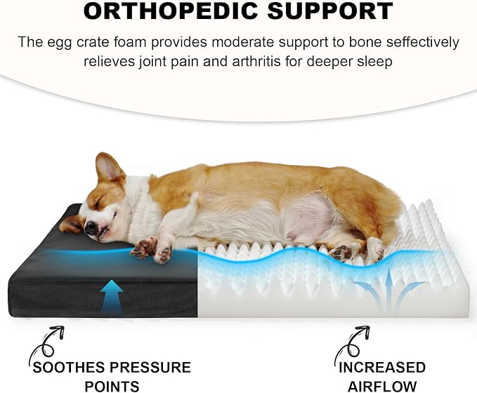 Indestructible Dog Beds for Large Dogs, Orthopedic Memory Foam Pet Bed with Oxford Fabric, Waterproof Outdoor Dog Bed for Kennel with Washable Cover and Non-Slip Bottom, 41''x27'', Black