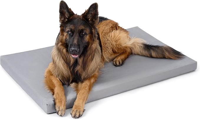 PELZIN Cybarmour Chew Proof Dog Bed - Orthopedic Indestructible Dog Crate Pad - Outdoor Waterproof Kennel Mat for Aggressive Chewers - Extra Large Breeds & Fits 48-Inch Crate - 47"x29", Limestone
