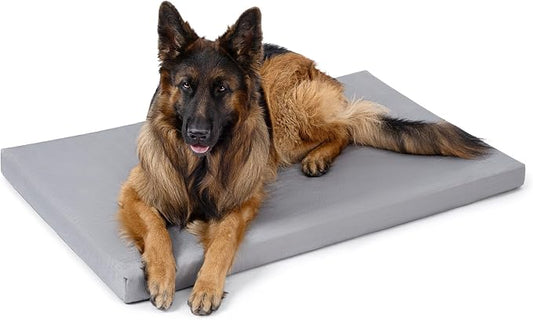 PELZIN Cybarmour Chew Proof Dog Bed - Orthopedic Indestructible Dog Crate Pad - Outdoor Waterproof Kennel Mat for Aggressive Chewers - Extra Large Breeds & Fits 48-Inch Crate - 47"x29", Limestone