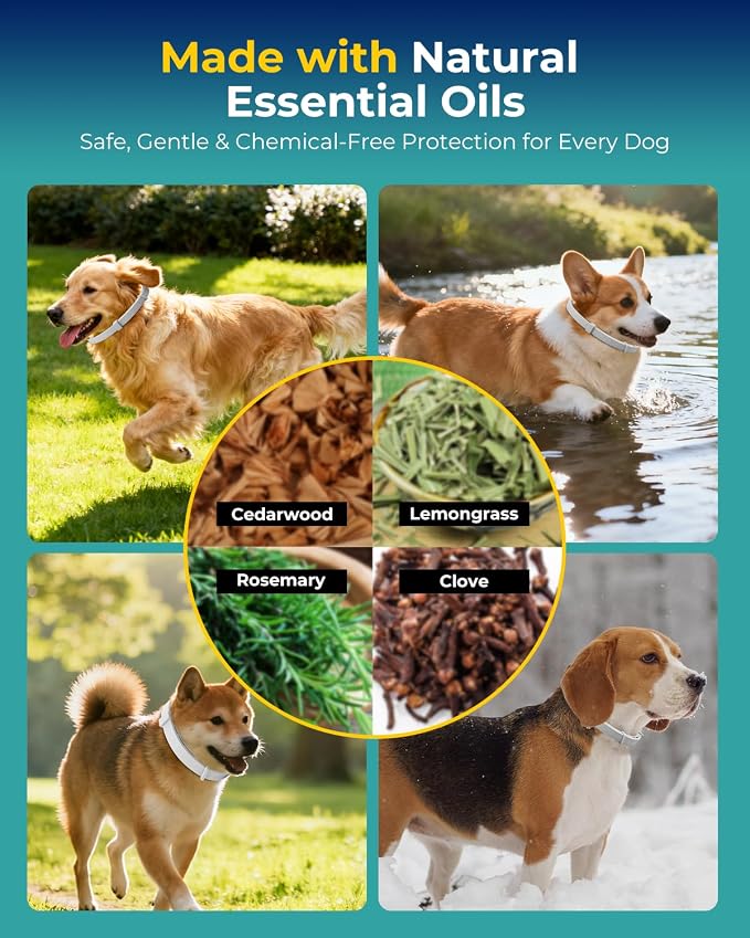 4 Pack Flea Collar for Small Dogs, Tick Collars for Puppy, Small Dog Flea Collar Under 18 lbs, 8 Months Protection