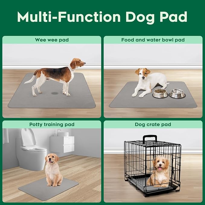 Pawfinity Large Washable Pee Pads for Dogs, Reusable Puppy Training Pad, Ultra-Soft, Absorbs 2X Faster & High-Capacity, Leakproof, Non-Slip, Waterproof Pet Mat for Floor, 34x36 inch, 4 Pack