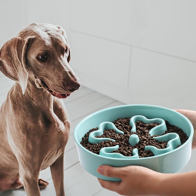 Slow Feeder,Ceramic-Slow Feeder Dog Bowls Medium Breed,Puzzle Food Bowl Maze,2.5 Cups Slow Feed Dog Bowl for Medium Dogs,Turquoise