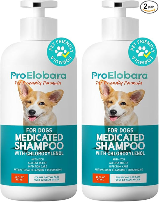 Medicated Dog Shampoo for Allergies and Itching: Antifungal Dog Shampoo, Yeast Infection and Bacterial Treatment for Dogs - Helps Hot Spots, Deodorizing and Anti Itch - Healthy Skin & Coat (Pack of 2