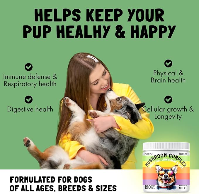 Calming Hemp Treats for Dogs Made in USA with Organic Hemp 120 Chews and Mushroom Complex Treats for Dogs with Reishi Shiitake and Turkey Tail Mushrooms for Cognition and Immune Boosting 120 Chews