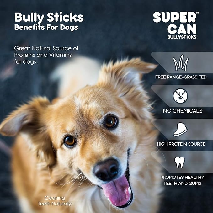 Bully Sticks for Dogs 6" Standard [25-Count] 100% Natural Dog Chews - Long Lasting Chew Medium Large Dogs - Free Range Grass Fed - Non GMO Beef - Treats for All Breeds