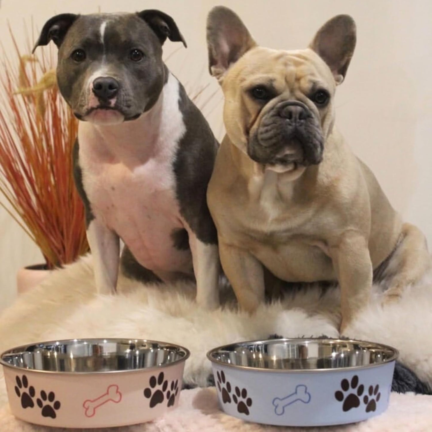 Loving Pets Bella Dog Bowls- Stainless Steel Dog & Cat Bowls - Spill Proof Dog Food Bowl, Cat Bowl, Puppy Essentials & Pet Supplies Great for Home & Travel (Medium 20-25 lbs, Murano Blue)