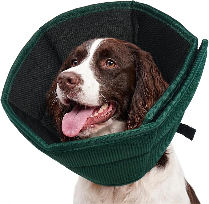 Allroaring Adjustable Dog Cone for Spay, Comfy Recovery Collar Green L | Breathable & Lightweight; Soft Fabric; Wound Healing & Stitches; Chewing Deterrent; Foldable; Extra Long; Protect Furniture