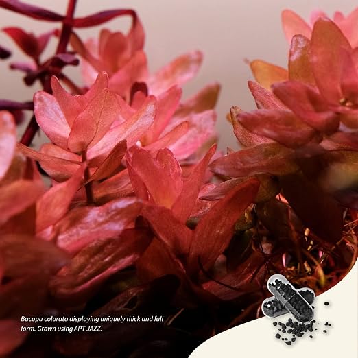 2HR Aquarist APT Jazz Aquarium Plant Root Tabs (54 Tabs)