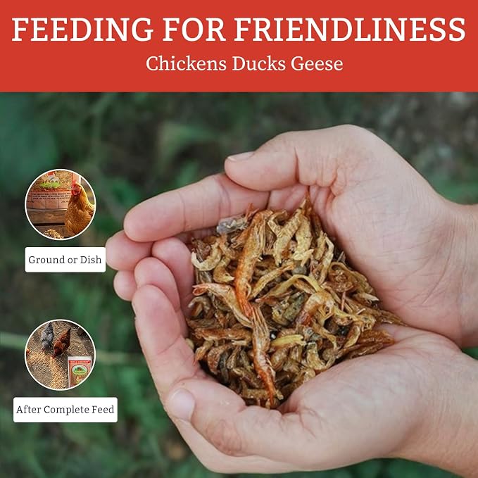 Fish & Shrimp Chicken Treats, Dried Shrimp and Freeze Dried Minnows with Omega 3 and Calcium, Natural Chicken Snacks for Chickens and Ducks – 3 lb