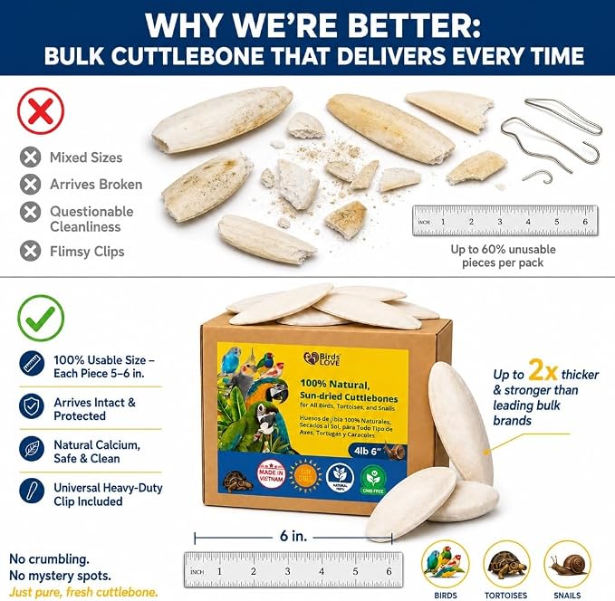 Birds LOVE 5.5-6″ Cuttlebones for Birds – 100% Natural Sun-Dried Calcium Carbonate Mineral Supplement – for Parakeets, Budgies, Cockatiels, Finches & Canaries – 4 lb with Holder – Made in Vietnam