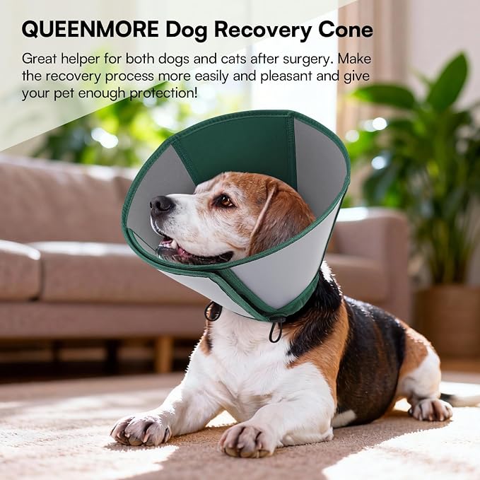 Queenmore Dog Cone Collar, Dog Cones for Small Dogs, Soft Cone for Small Dogs, Waterproof Pet Cones After Surgery to Stop Licking, Easy Clean Recovery Collar for Wound Healing (Dark Green,S)