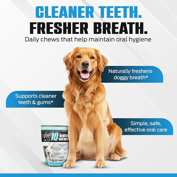 K10 Dental Chews (60 Count) – Low-Calorie Dog Chew with Human-Grade Ingredients – Dog Chews That Support Fresh Breath, Oral Hygiene, Digestion & Vitality – Vet-Preferred Dental Treats for Dogs