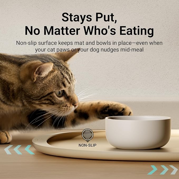 DownyPaws Cat Food Mats for Floors Waterproof, BPA Free Silicone Pet Food Mat, Non-Slip Pet Food Mat with High Raised Edge, Cat Placemat for Messy Drinkers, 18"×12.5", Almond