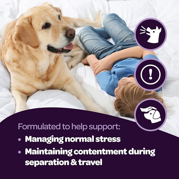 Calming Chews for Dogs | Herbal Dog Calming Chews for Anxiety from Normal and Occasional Stressors Including Separation Storms Grooming & Travel | NASC Certified & Made in the USA | 60 Count