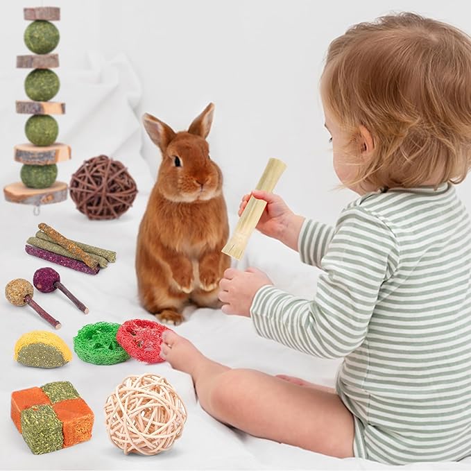 VESPRO Bunny Teys for Rabbits Hamster/Guinea Pig Toys Natural Timothy Hay Sticks chew Treats and Balls for Rabbit, Bunny, chinehila, Guirea Pig, Hamster, Rabbit Teeth Care