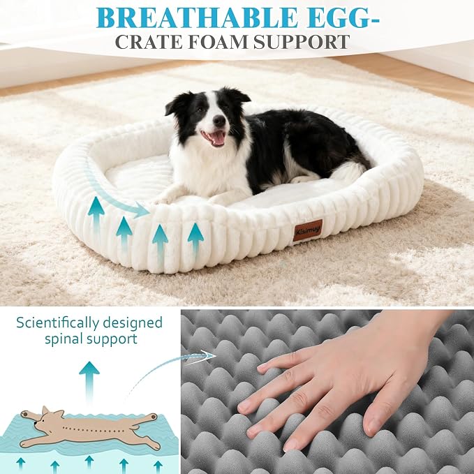 Orthopedic Dog Bed, Washable XXL Dog Couch for Senior Dogs | 43L x 31W x 5.5H, Egg-Crate Foam, Low Front Entry Design, Removable Cover, Non-Slip Bottom, Extra Large Dog Bed, Cream