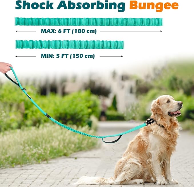 PetBonus Heavy Duty Tactical Dog Leash and 2-Pack Large Silicone Collapsible Dog Bowls