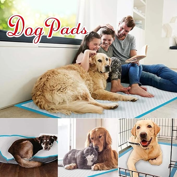 XXL Dog Training Pads – 30" x 36", 100 Count | Extra-Large Puppy Pee Pads, Super Absorbent, Leak-Proof, Odor Control Disposable Pet Pads for Housebreaking, Senior Dogs, Indoor Use