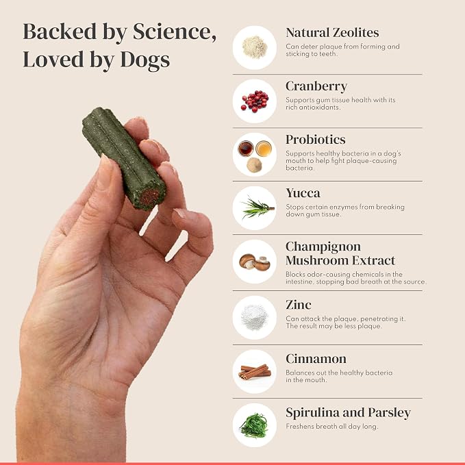 Dental Chews for Dogs – Scrapes Plaque, Freshens Breath, Fights Tartar – Dual-Layered Dog Dental Treats with Probiotics – Vet Formulated with 16 Active Ingredients – All Dog Sizes – Made in The USA
