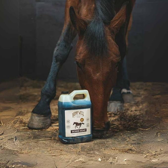 Hemp Well Thrive Oil for Horses, Everyday Supplement for Overall Health, Supports Hip, Joint, and Heart Health, Horse Joint Supplement, Organically Sourced Hemp Seed Oil- 1 Gallon