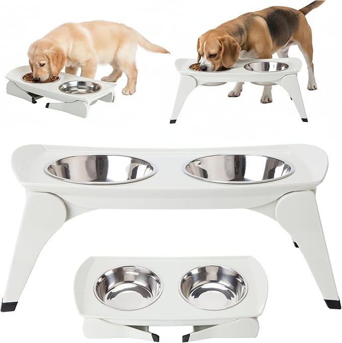 MalsiPree Elevated Dog Bowls for Small Dogs - 6.5" Raised Dog Bowl Stand with Splash Guard - Portable Folding Pet Feeding Station with 2 Stainless Steel Bowls - Travel Road Trip Foldable Collapsible