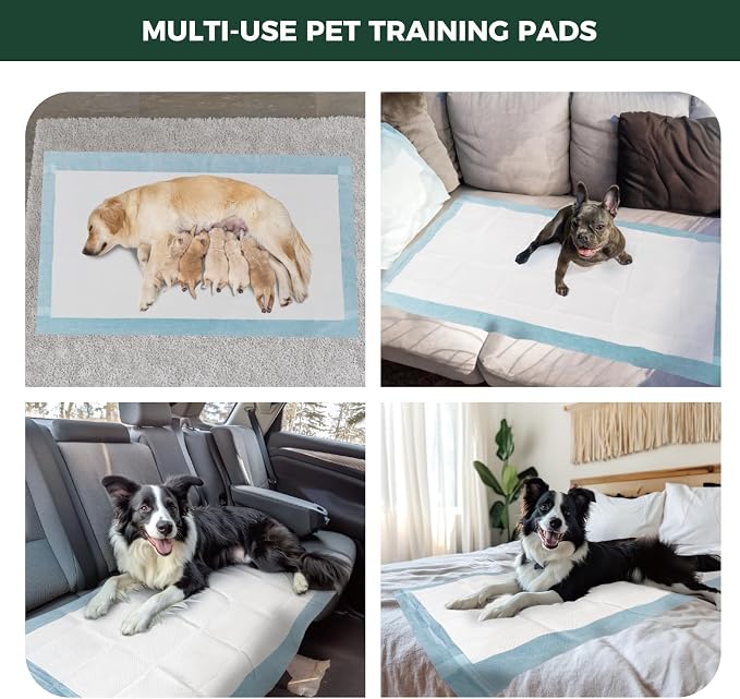FXW XXL Puppy Pee Pads for Dogs 60x33.5 inch 50 Count, 5 Layer Super Absorbent & Leak Proof-Thickened Disposable Potty Training Pad, Fits 32" H 6/8 Panel FXW Playpen-Blue (Playpen not Included)