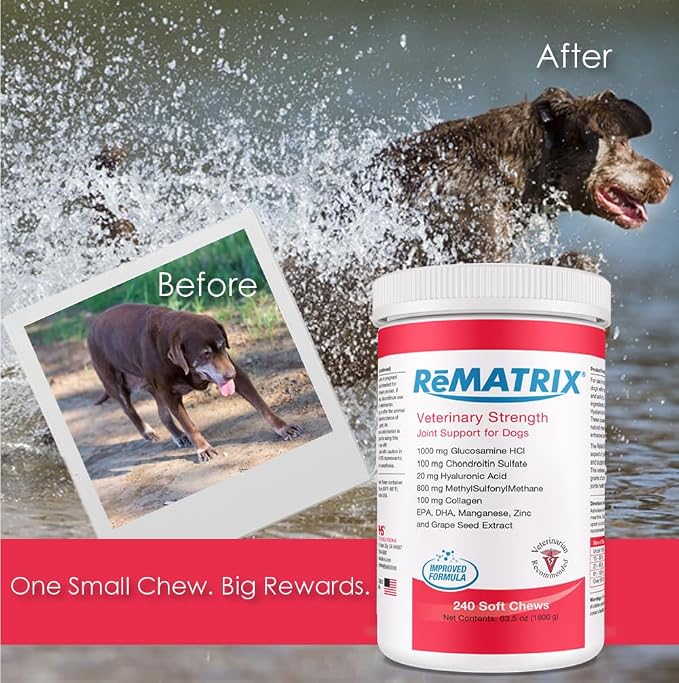 Joint Support Supplement for Dogs - Glucosamine, Chondroitin, MSM, Omega-3 - Hip and Joint Pain Relief and Support for Dogs - Made in USA - 240 Soft Chews