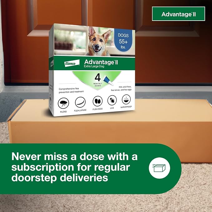 Advantage II XL Dog Vet-Recommended Flea Treatment & Prevention | Dogs Over 55 lbs. | 4-Month Supply
