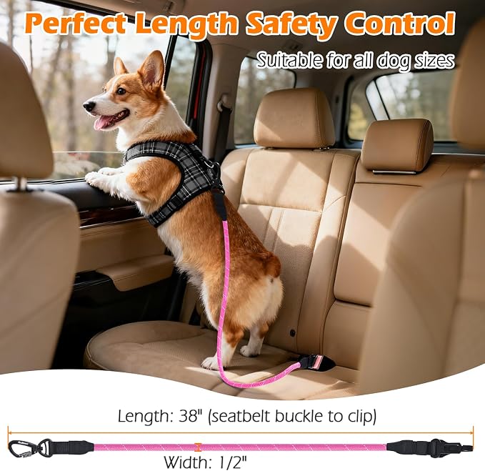 PetBonus Dog Seat Belt for Car and 2-Pack Silicone Collapsible Dog Bowls
