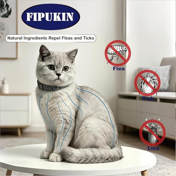 Natural Flea Collar for Cats | High‑Rated Plant‑Based Protection, 8‑Month Waterproof Formula | Includes Grooming Comb & Tick Removal Tool
