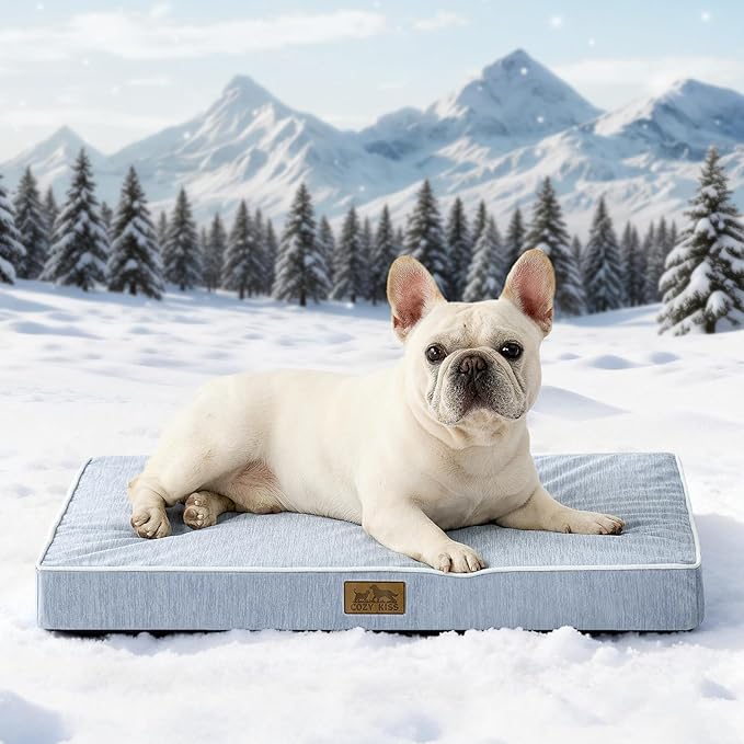 COZY KISS Cooling Orthopedic Dog Bed, Waterproof Egg Crate Foam Pet Bed with Removable Washable Cover 29x18x3 Inch,Light Blue