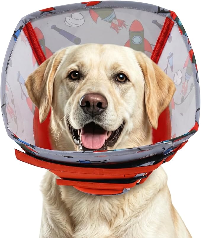 Small Dog Cone Collar, Dog Elizabethan Collar for Dogs with Durable Material, for Surgery Recovery to Allow Comfortable Sleep for Small Breeds,S
