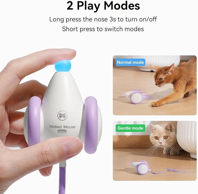 Interactive Cat Toys for Indoor Cats - Automatic Moving Kitten Toys, Wicked Mouse Neo Cat Toy with Tail & Lights, Pet Cat Supplies, Rechargeable Cat Toys for Bored Indoor Adult Cats, Purple