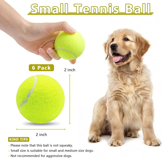 Magicorange 6 Pack Small Tennis Balls, 2 inch Tennis Balls for Dogs,Colorful Easy Catching Pet Playing Ball (Multicolor, 6 Pack)