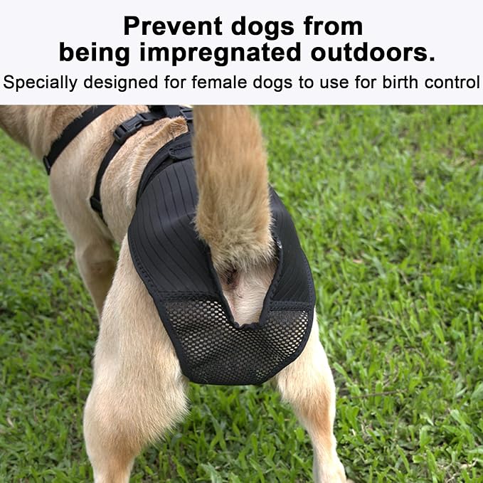 Female Dog Heat Pants with Harness Design - Anti-Slip, Anti-Mating, Reusable & Washable Underwear for All-Day Protection (Black, S)