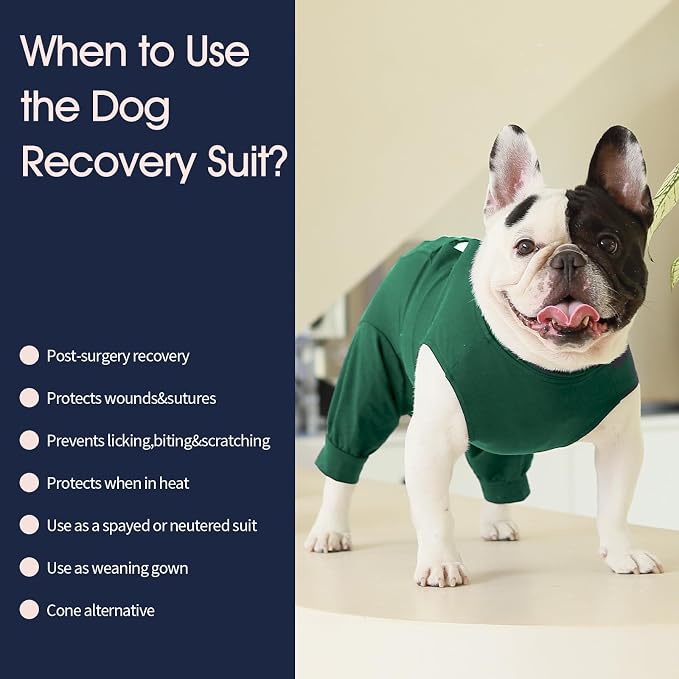 IECOii Dog Surgery Recovery Suit for Female Or Male Dogs,Post Surgery Dog Onesies for Spay Neuter,Small Dog Surgical Suit for Abdominal Wound and Rear Leg,Dogs E-Collar & Cone Alternative,S-Green