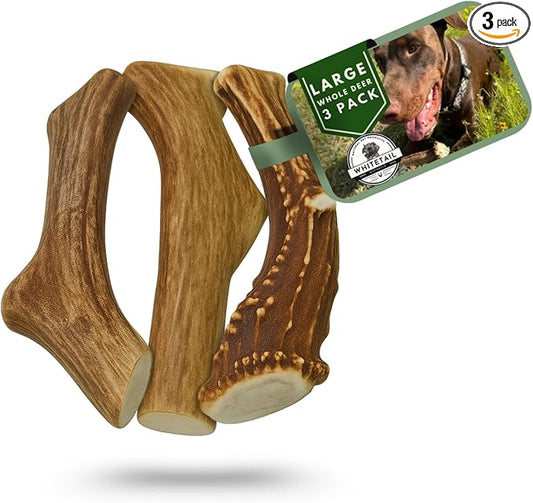 WhiteTail Naturals (3 Pack Deer Antlers for Large Dogs, Antler Dog Chews - Crafted in USA Dog Antler - Long Lasting Bone for Aggressive Chewers