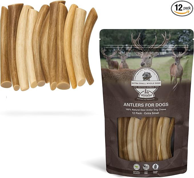 WhiteTail Naturals - Deer Antlers for Extra Small Dogs (12 Pack) Natural Dog Antler Chews for Puppies & Small Aggressive Chewers - Long Lasting Chew Bones