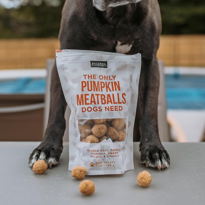 Natural Rapport Freeze Dried Pumpkin Meatballs Dog Treats - Beef, Turkey & Pumpkin, Limited Ingredient for Sensitive Stomachs (4 oz) (30+ Treats)