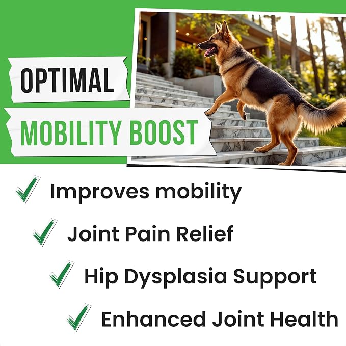 Hemp Treats - Dog Joint Supplement - Mobility Support Chews w/Glucosamine Chondroitin, Turmeric, MSM - Hip & Joint Chews - Joint Pain Relief Treats - 120Ct