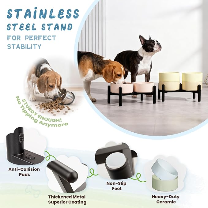 Ceramic Elevated Dog Bowl Set - Dog Feeder Station with Cute-Style Double Bowls for Small and Medium Size Breed - Non-Slip Raised Dish for Food and Water Feeding- 6 Inch - 3.5 Cups / 20 fl oz - Green