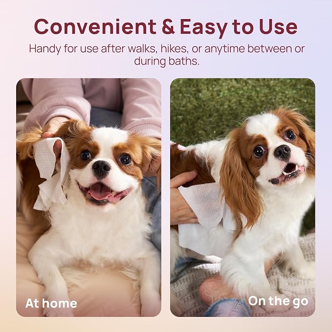 HICC PET Wipes for Dogs and Cats, Vet-Recommended Hypoallergenic Dog Wipes for Paws, Butt and Fur, Dog Cleaning Wipes & Dog Bath Wipes, Deodorizing Grooming Wipes for Dogs, Cats, Horse, 100 Count | Pet Wipes for Paws & Butt, Dog Bath Wipes, Deodorizing...