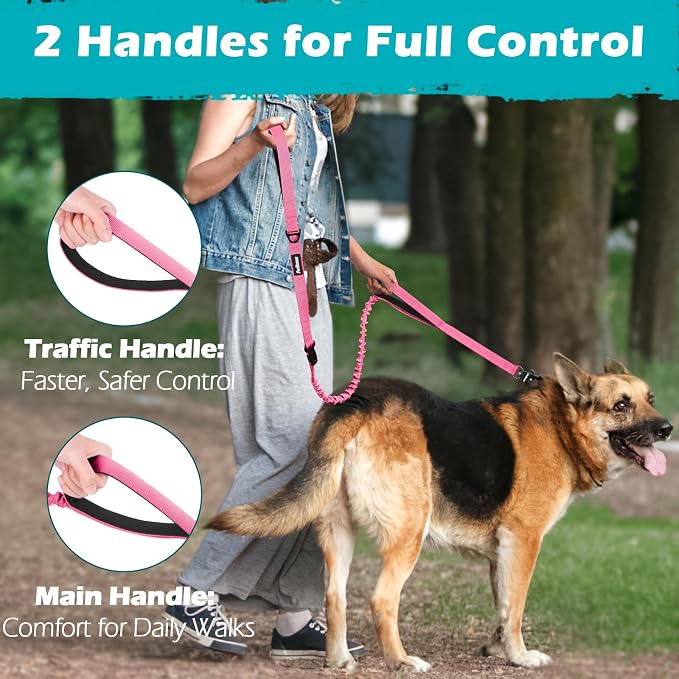 PetBonus Heavy Duty Tactical Dog Leash and 2-Pack Large Silicone Collapsible Dog Bowls