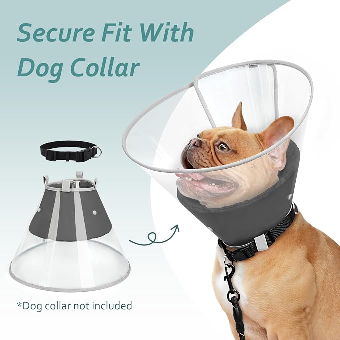 Dog Cone Collar with Snap-on Detachable Soft Liner, Lightweight Transparent Elizabethan Alternative to Stop Licking, for Spay Neuter Surgery Recovery, for Medium Large Small Dogs (Black,S)