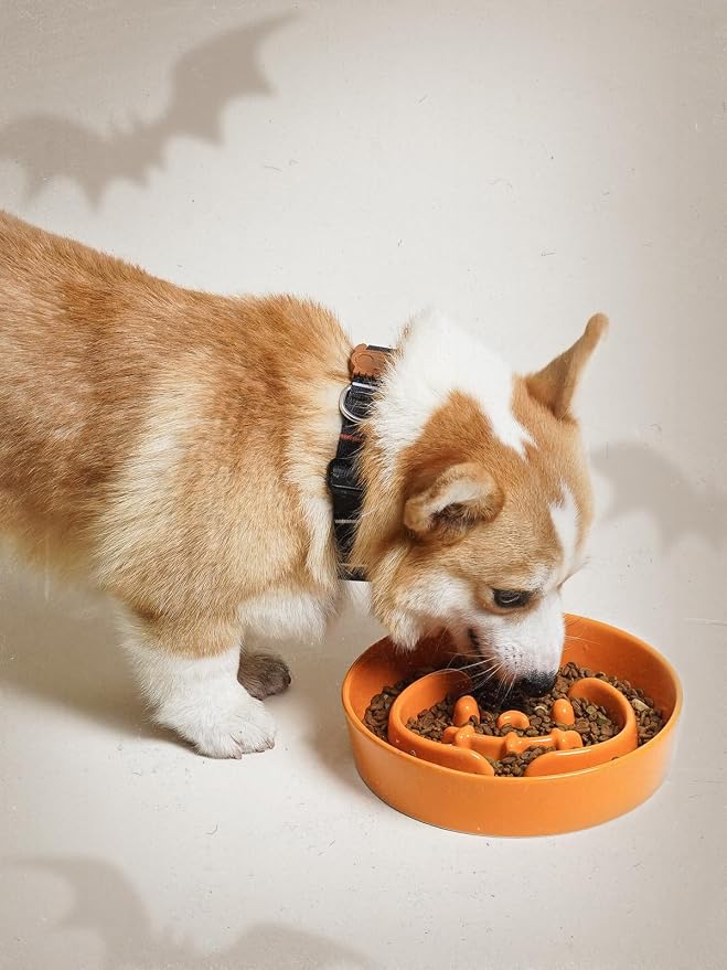LE TAUCI Ceramic Slow Feeder Dog Bowl for Medium & Large Dogs, 3 Cup Puzzle Food Dish to Slow Down Eating, Pumpkin Orange